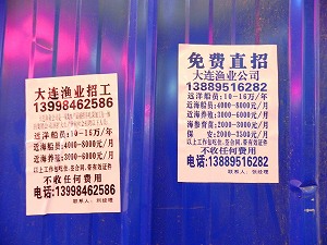 s-20120512 shinyo (3).jpg
